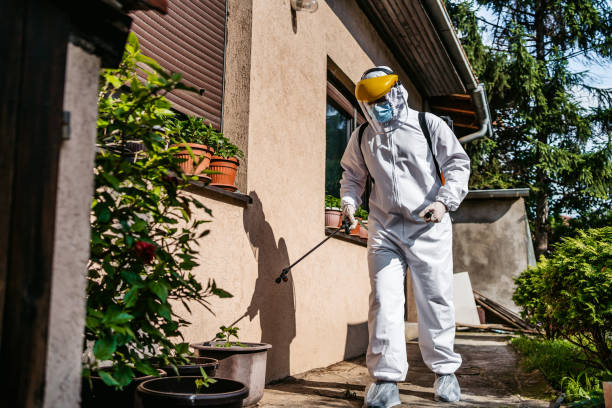 Best Bed Bug Extermination  in Fort Mckinley, OH