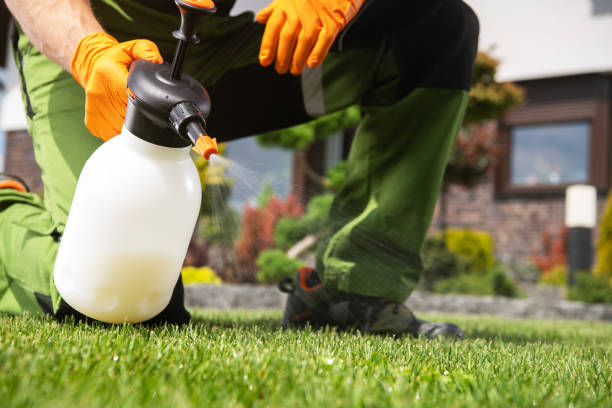 Best Best Pest Control Companies  in Fort Mckinley, OH