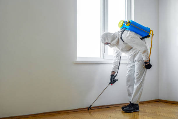 Wildlife Control Services in Fort Mckinley, OH