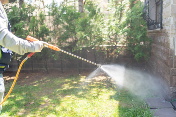 Best Local Pest Control Services  in Fort Mckinley, OH