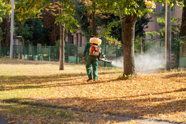 Best Pest Inspection Near Me  in Fort Mckinley, OH
