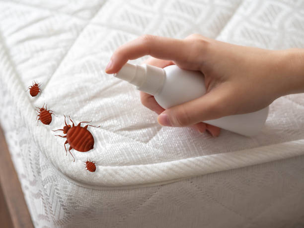 Best Spider Control Near Me  in Fort Mckinley, OH