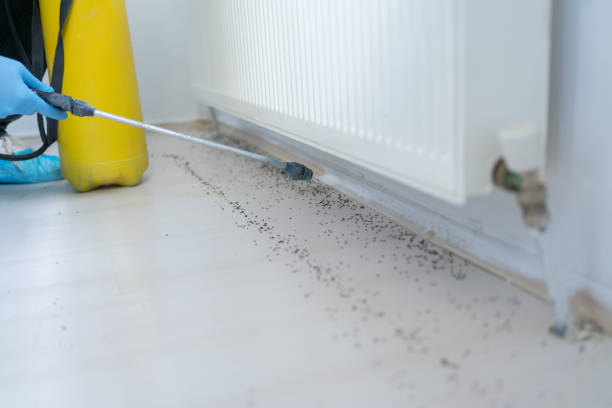 Fort Mckinley, OH Pest Control Company