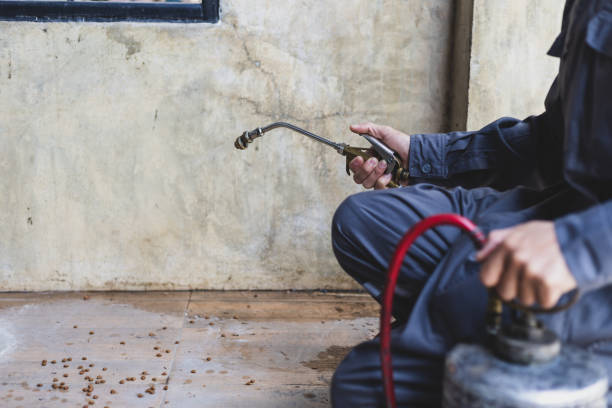 Best Pest Prevention Services  in Fort Mckinley, OH
